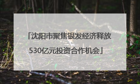 沈阳市聚焦银发经济释放530亿元投资合作机会